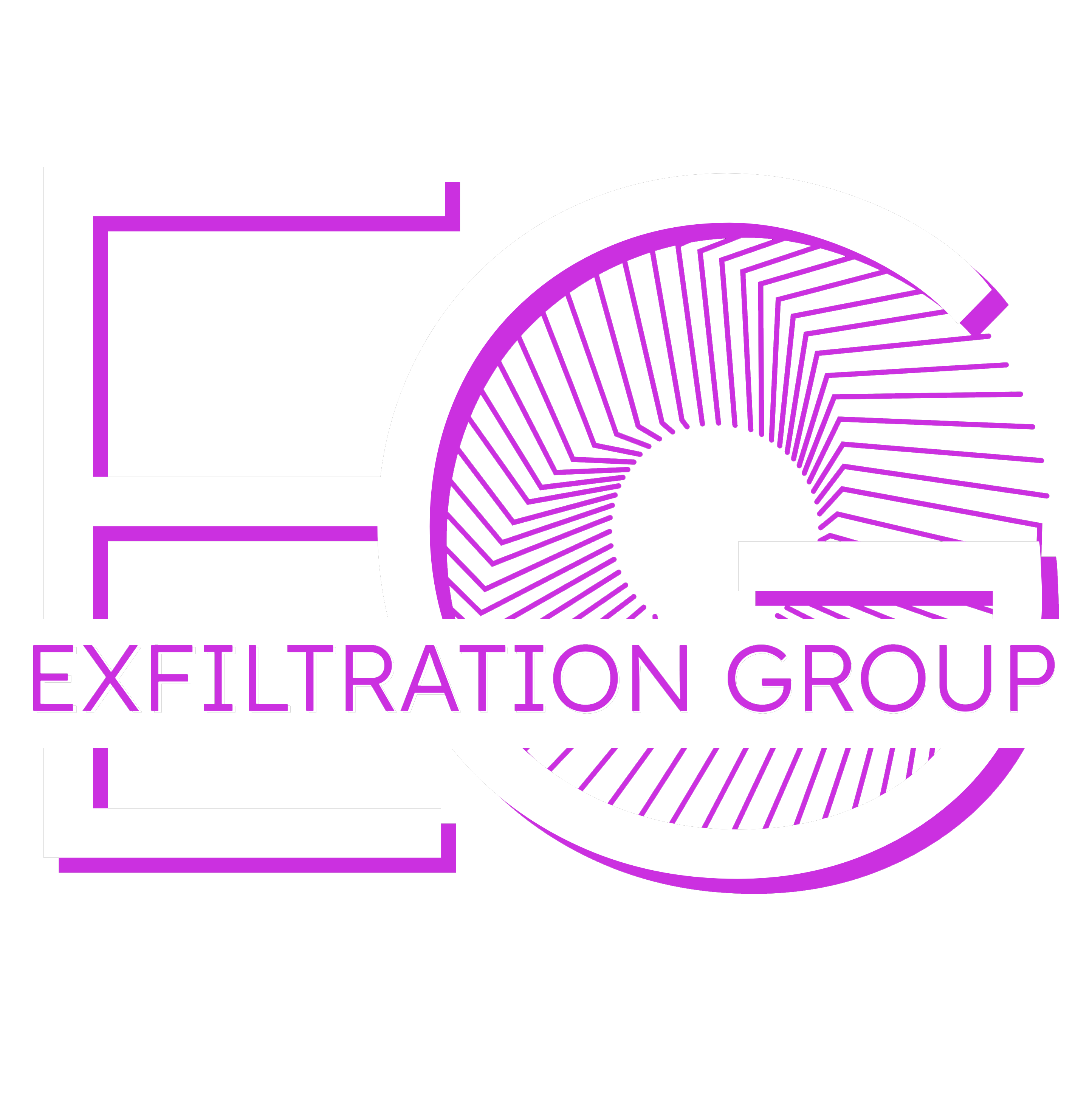 Logo of the Exfiltration Group Website. An E and G with a spiral pattern inside the G. The text 'Exfiltration Group' is splitting the logo around 2/3 down.